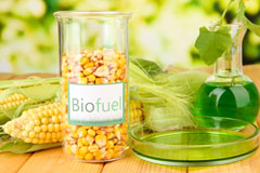Burton Joyce biofuel availability