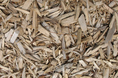 biomass boilers Burton Joyce