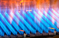Burton Joyce gas fired boilers
